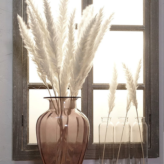 Reed dried flower home decoration
